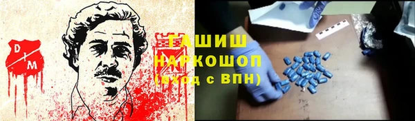 прущий лед Алзамай