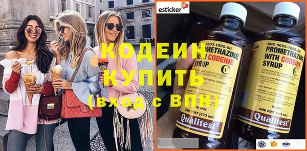 прущий лед Алзамай