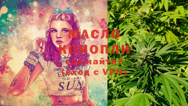 прущий лед Алзамай