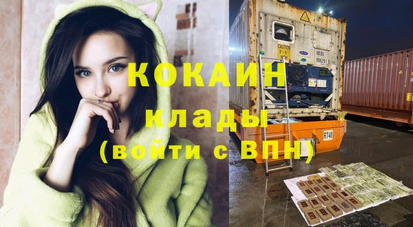 прущий лед Алзамай