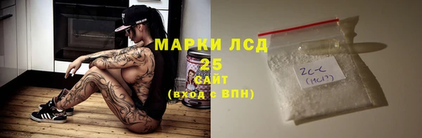 прущий лед Алзамай