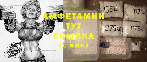 прущий лед Алзамай