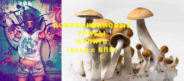 прущий лед Алзамай